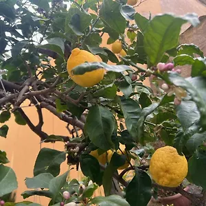  Appartement Vicino Al Mare Italie